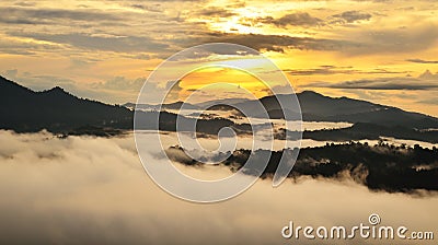 Sunrise over rain forest in Danum Valley Conservation Area Stock Photo