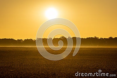 Sunrise over the wheal field Stock Photo