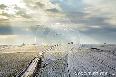 Sunrise over winter green field. Rural landscape. Stock Photo