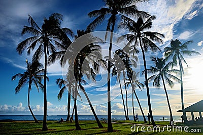 Sunrise with palm trees in Salt Pond Beach Park Stock Photo