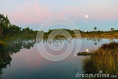 sunrise picture with a gorgeous sky, a marsh at sunrise, a moon setting in the sky, dark silhouettes of marsh trees in the morning Stock Photo