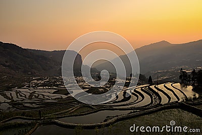 Sunrise at Rice Terraces in Yuanyang, Yunnan, China Stock Photo