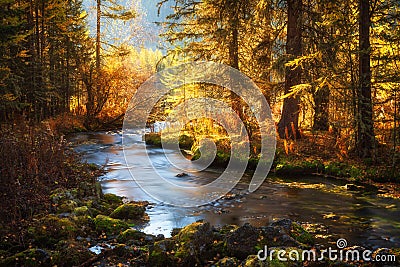 Sunrise at river in autumn yellow forest. Beautiful reflection in water Stock Photo