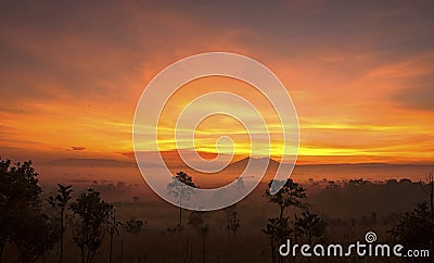 Sunrise sawanna Stock Photo