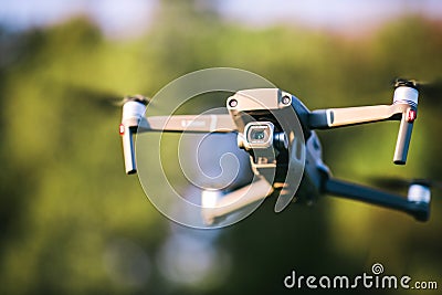 Sunrise seagulls over the sea Editorial Stock Photo