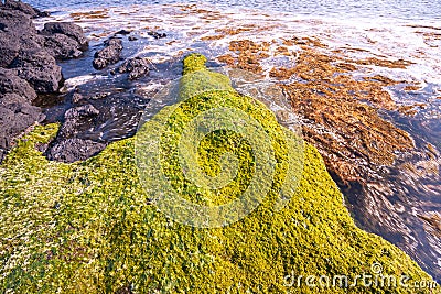 Sunrise at Seongsan Ilchulbong, Jeju, South Korea peak Stock Photo