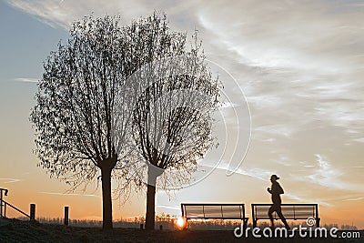 Sunrise with silhouet of trees and runner Stock Photo