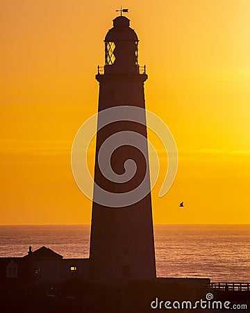 Sunrise at St. Marys Lighthouse in Northumberland, UK Editorial Stock Photo