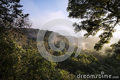 Dawn sun burning off dew in forest landscape creating mist among Stock Photo