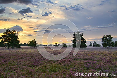 Sunrise Sunset in the LÃ¼neburg Heath Stock Photo