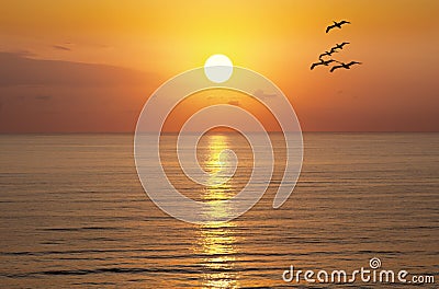 Sunrise Sunset Sun Sunny Ocean Stock Photo