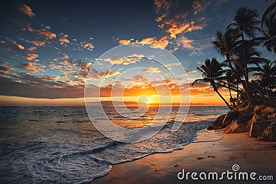 Sunrise on a tropical island. Palm trees on sandy beach. Stock Photo