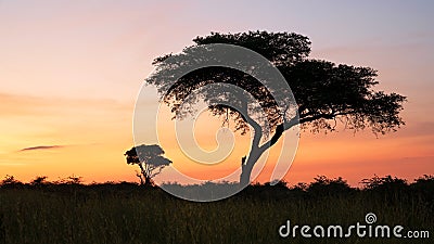 Sunrise, Uganda Stock Photo