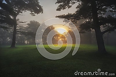Sunrise Under Fog Thatcher Park Stock Photo