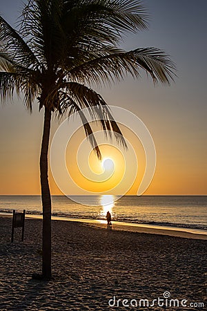Sunrise on the west coast of Panama.Sun rising behind a coconut palm tree with walkers on the beach Stock Photo