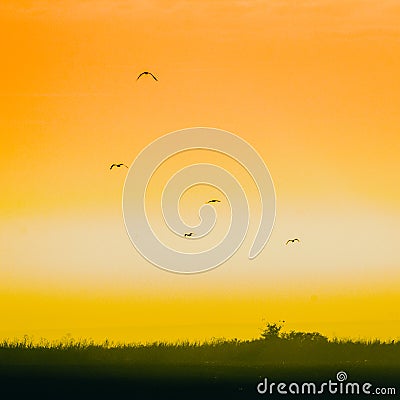 Sunrise in Yambol, Bulgaria with birds 2 Stock Photo