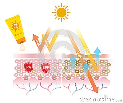 Sunscreen with PA and SPF block UV rays vector on white background. Cartoon Illustration