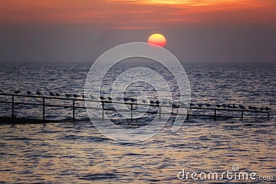 Sunset with big red sun Stock Photo