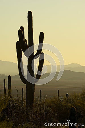 Sunset in Arizona Stock Photo