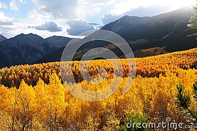 Sunset Aspen Valley Stock Photo