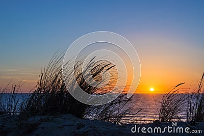 Sunset on atlantic ocean, beach grass silhouette in France Stock Photo