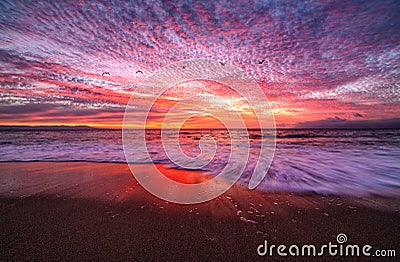 Sunset Beach Beautiful Ocean Nature Dramatic Surreal Sunrise Landscape Colors Stock Photo