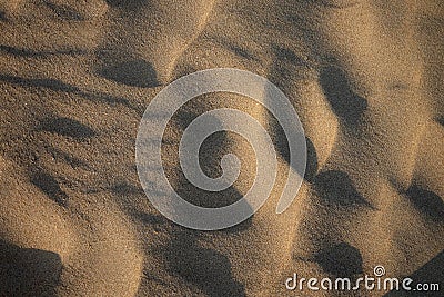 Sunset on the beach. Shadows on sand texture. Stock Photo