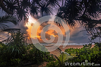 Sunset on the beach of Sri Lanka, between palm trees on the beach and the sea Stock Photo