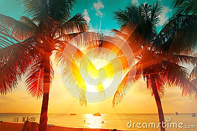 Sunset beach with tropical palm tree over beautiful sky. Palms and beautiful sky background. Tourism, vacation concept backdrop Stock Photo