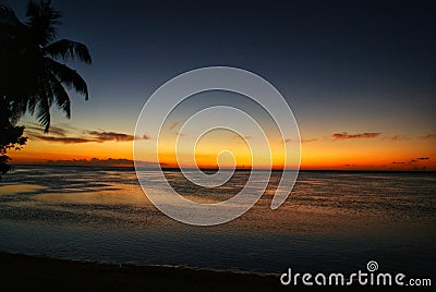 Sunset at the beach under a palmtree on a tropical island Stock Photo