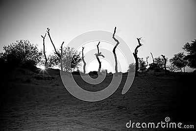 Sunset behind the desert Stock Photo