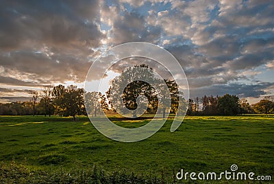 Sunset behind a floodplain meadow with trees in october. Stock Photo