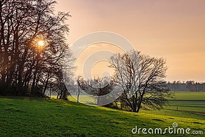 Sunset behind trees and view over fields and meadows Stock Photo