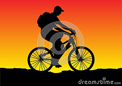 Sunset bicycle Vector Illustration