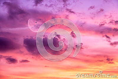 Sunset Birds Full Moon Clouds Ethereal Surreal Romantic Sky Stock Photo