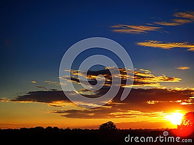 Sunset with blue sky and orange clouds illuminated by white sun and red fire glow on black tree wood Stock Photo