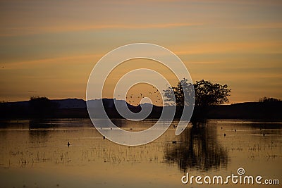 Sunset at Bosque del Apache NWR Stock Photo