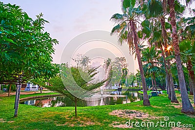 The sunset in Buak Hard park, Chiang Mai, Thailand Editorial Stock Photo