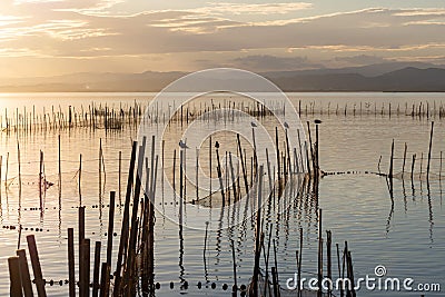 Sunset in the calm waters in the natural park of Albufera, Valencia, Spain. Magical colors. Perfect natural background Stock Photo