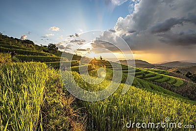 Rice terraces , Cloud , sunset ,nature landscape Stock Photo