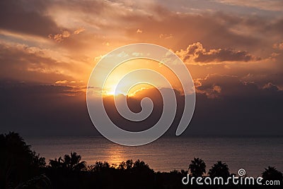 Sunset clouds palm trees silhouette horizon Stock Photo