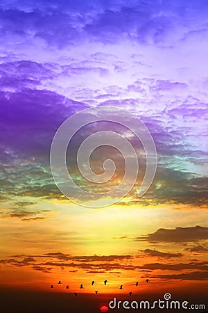 sunset colorful purple blue yelllow orange sky and dark cloud and sun lower flame with silhouette bird Stock Photo