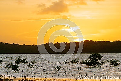 Sunset at Coqueiros beach. Jandaira, Bahia, Brazil Stock Photo