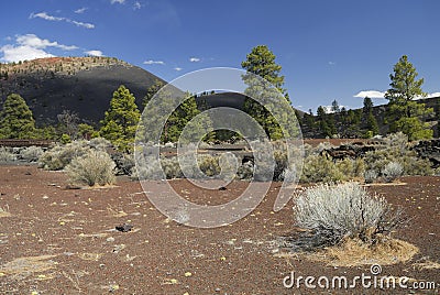 Sunset Crater Volcano in Arizona Stock Photo