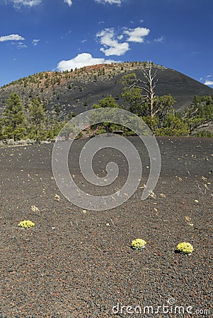 Sunset Crater Volcano in Arizona Stock Photo