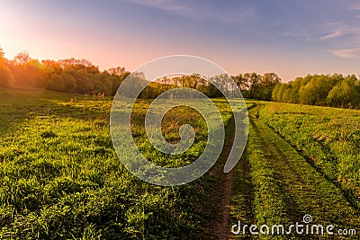 Sunset or dawn in a spring field with green grass Stock Photo