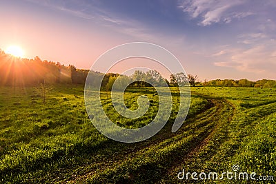 Sunset or dawn in a spring field with green grass Stock Photo