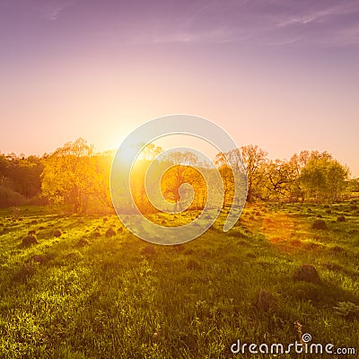 Sunset or dawn in a spring field with green grass Stock Photo