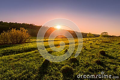 Sunset or dawn in a spring field with green grass Stock Photo