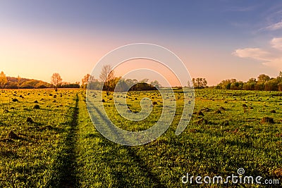 Sunset or dawn in a spring field with green grass Stock Photo